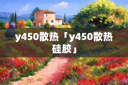 y450散热「y450散热硅胶」 y450散热「y450散热硅胶」