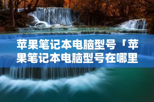 苹果笔记本电脑型号「苹果笔记本电脑型号在哪里看」 苹果笔记本电脑型号「苹果笔记本电脑型号在哪里看」