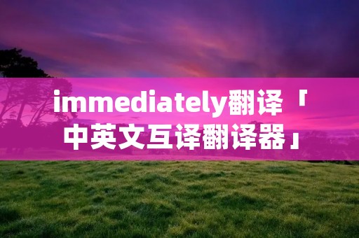 immediately翻译「中英文互译翻译器」