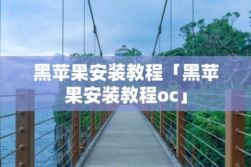 黑苹果安装教程「黑苹果安装教程oc」