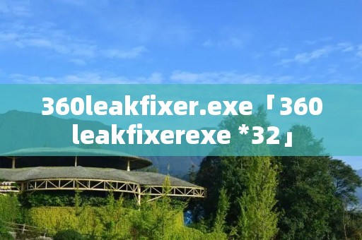 360leakfixer.exe「360leakfixerexe *32」