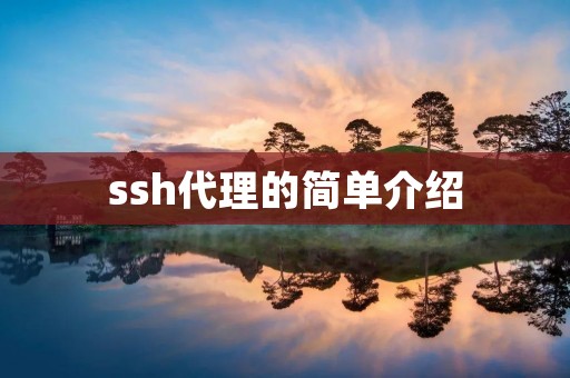 ssh代理的简单介绍