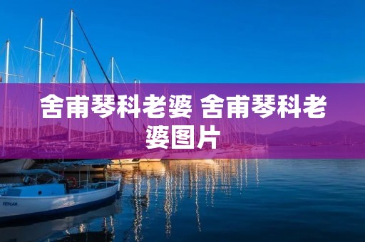 舍甫琴科老婆 舍甫琴科老婆图片 舍甫琴科老婆 舍甫琴科老婆图片