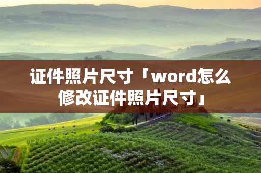 证件照片尺寸「word怎么修改证件照片尺寸」