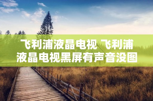 飞利浦液晶电视 飞利浦液晶电视黑屏有声音没图像 飞利浦液晶电视 飞利浦液晶电视黑屏有声音没图像