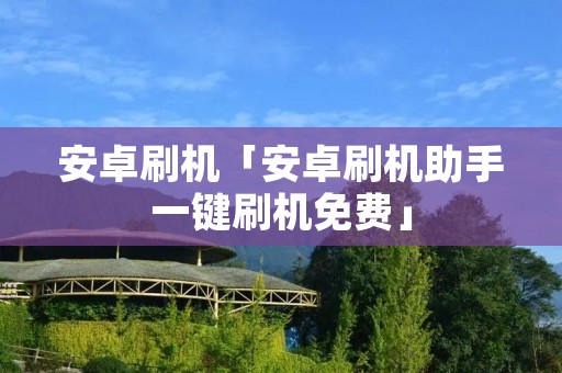 安卓刷机「安卓刷机助手一键刷机免费」