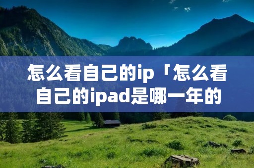 怎么看自己的ip「怎么看自己的ipad是哪一年的」 怎么看自己的ip「怎么看自己的ipad是哪一年的」