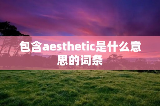 包含aesthetic是什么意思的词条