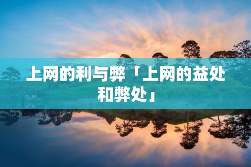 上网的利与弊「上网的益处和弊处」