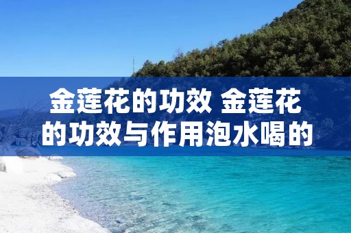 金莲花的功效 金莲花的功效与作用泡水喝的功效