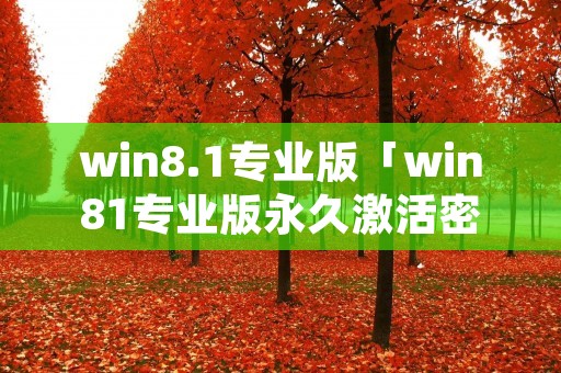 win8.1专业版「win81专业版永久激活密钥」