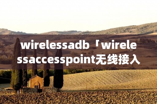 wirelessadb「wirelessaccesspoint无线接入点」 wirelessadb「wirelessaccesspoint无线接入点」