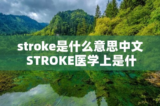stroke是什么意思中文 STROKE医学上是什么意思