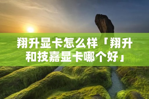 翔升显卡怎么样「翔升和技嘉显卡哪个好」