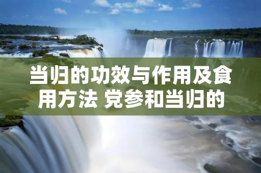 当归的功效与作用及食用方法 党参和当归的功效与作用及食用方法