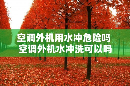 空调外机用水冲危险吗 空调外机水冲洗可以吗 空调外机用水冲危险吗 空调外机水冲洗可以吗
