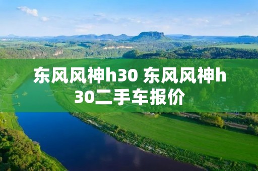 东风风神h30 东风风神h30二手车报价