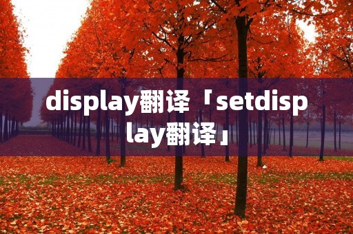 display翻译「setdisplay翻译」