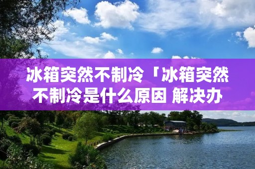 冰箱突然不制冷「冰箱突然不制冷是什么原因 解决办法」