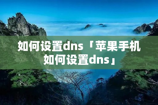 如何设置dns「苹果手机如何设置dns」