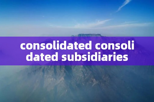 consolidated consolidated subsidiaries