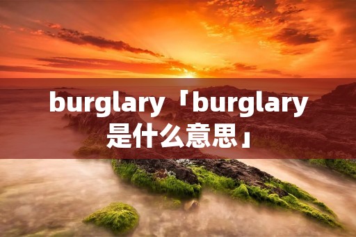 burglary「burglary是什么意思」