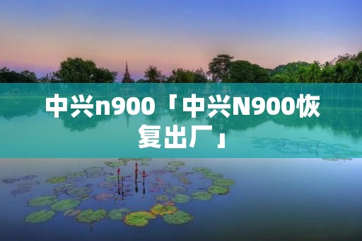 中兴n900「中兴N900恢复出厂」