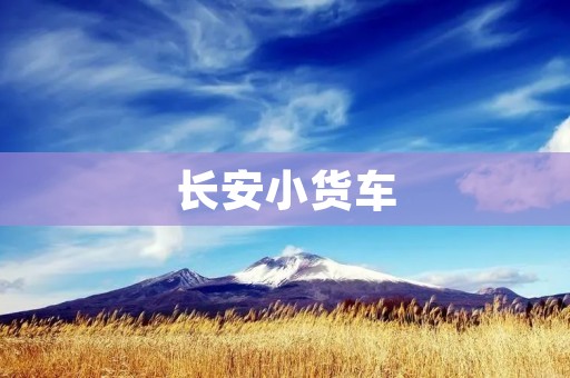 长安小货车:一款实用高效的商用载货工具 长安小货车:一款实用高效的商用载货工具
