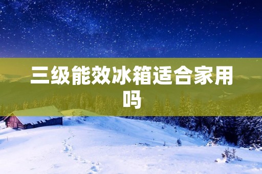 三级能效冰箱适合家用吗