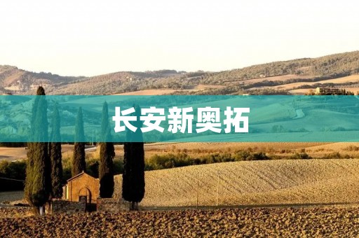 长安新奥拓：小而灵活的城市代步利器
