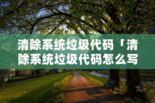 清除系统垃圾代码「清除系统垃圾代码怎么写」