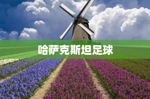 哈萨克斯坦足球：崛起中的亮点与挑战