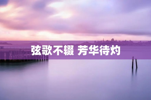 弦歌不辍 芳华待灼:一个音乐人的奋斗之路