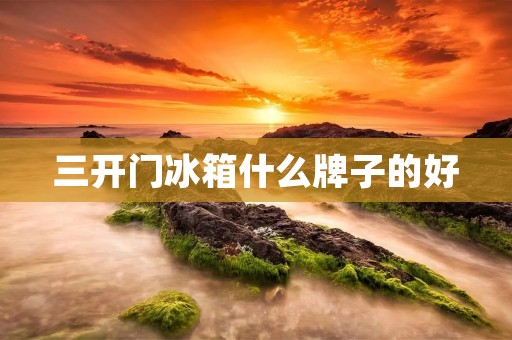 三开门冰箱什么牌子的好