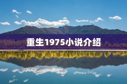 重生1975小说介绍