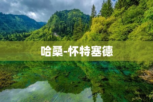 哈桑-怀特塞德：探索音乐与人生的奇妙旅程