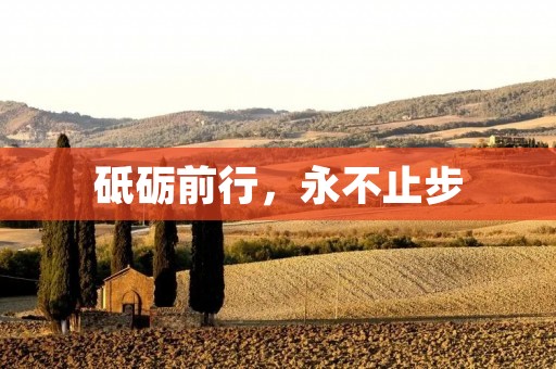 砥砺前行,永不止步