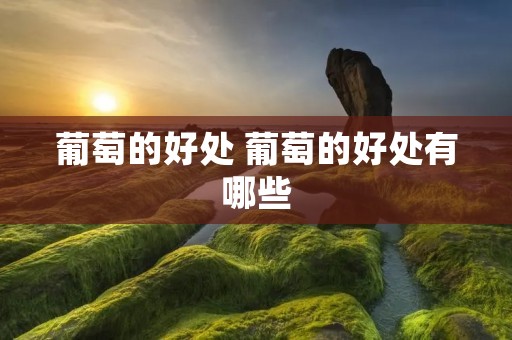 葡萄的好处 葡萄的好处有哪些