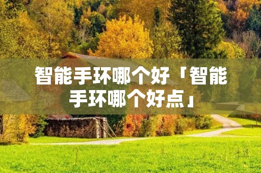 智能手环哪个好「智能手环哪个好点」 智能手环哪个好「智能手环哪个好点」
