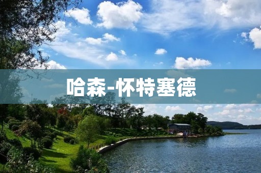 哈森-怀特塞德：探索传奇摄影师的艺术世界
