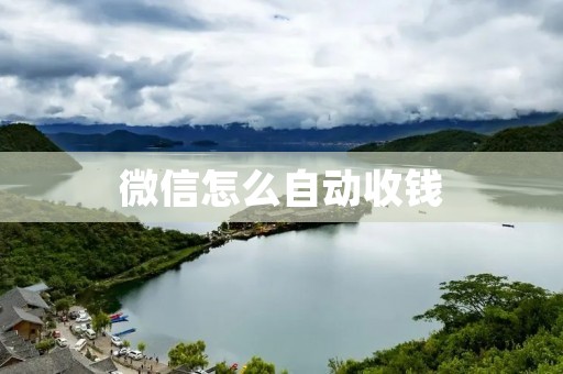 微信怎么自动收钱