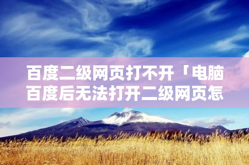 百度二级网页打不开「电脑百度后无法打开二级网页怎么办」