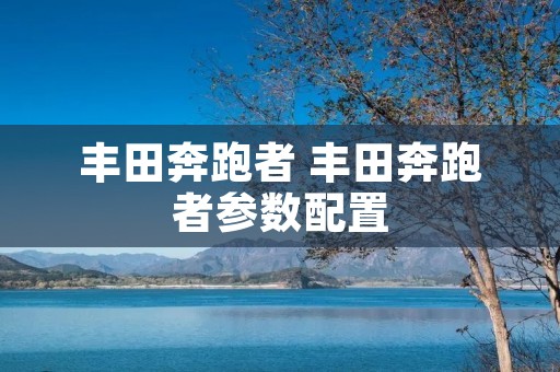 丰田奔跑者 丰田奔跑者参数配置 丰田奔跑者 丰田奔跑者参数配置