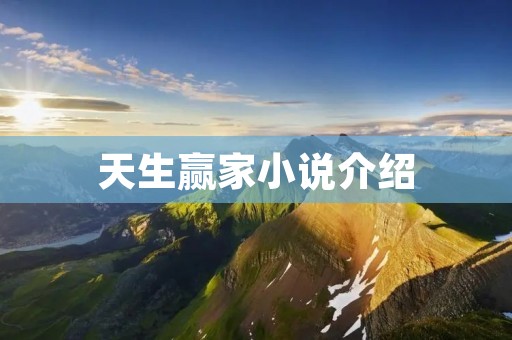 天生赢家小说介绍