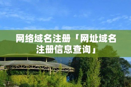 网络域名注册「网址域名注册信息查询」