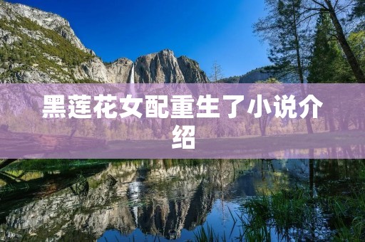 黑莲花女配重生了小说介绍