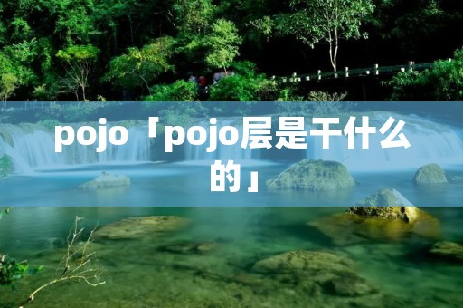 pojo「pojo层是干什么的」