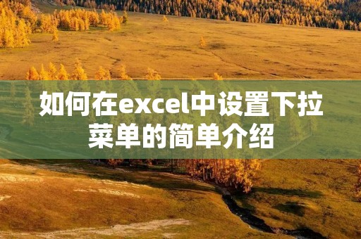 如何在excel中设置下拉菜单的简单介绍
