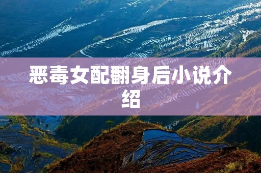 恶毒女配翻身后小说介绍