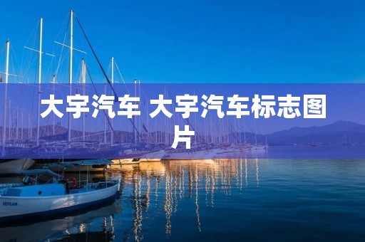 大宇汽车 大宇汽车标志图片 大宇汽车 大宇汽车标志图片